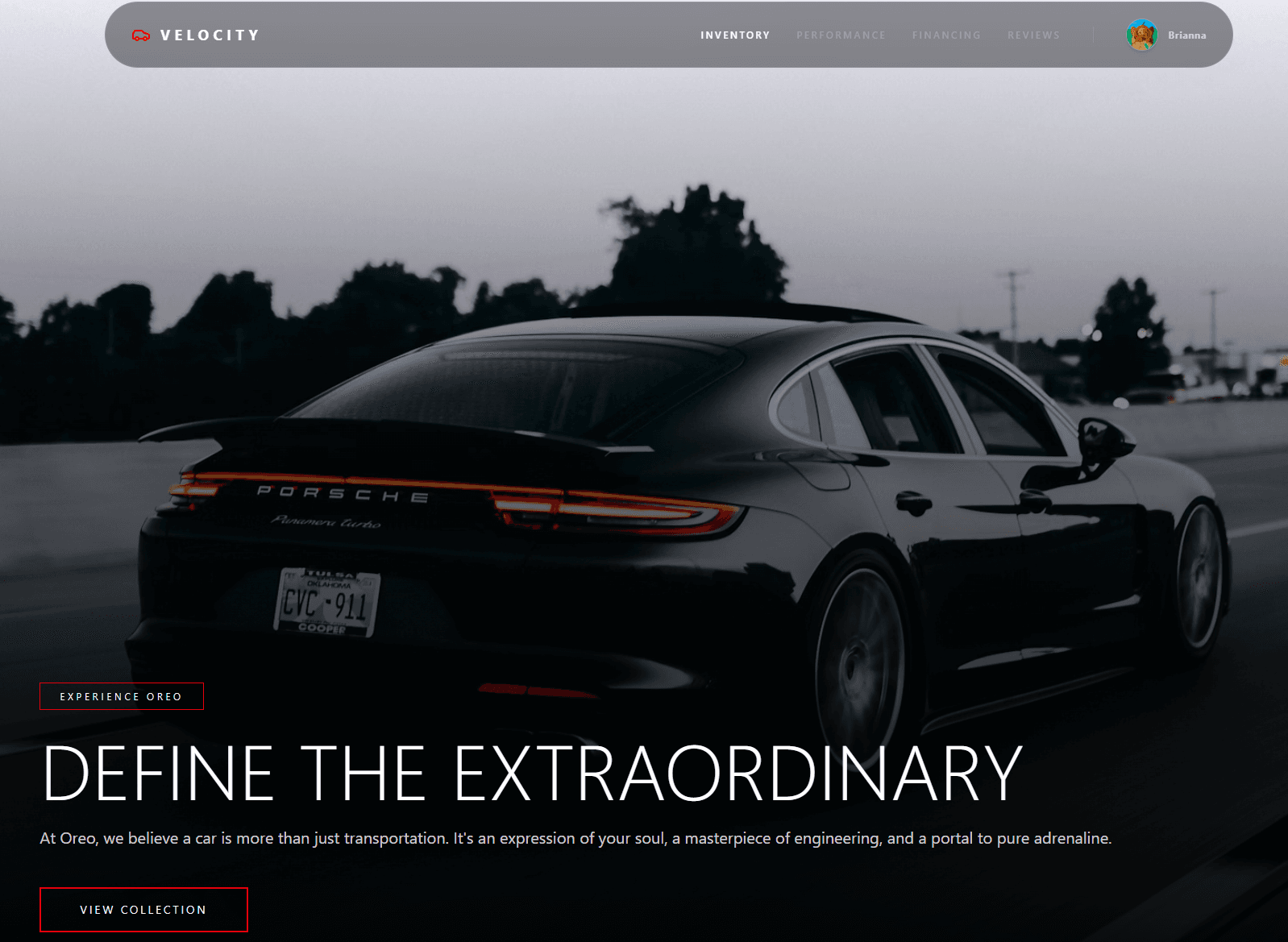 High-performance storefront homepage and branding.